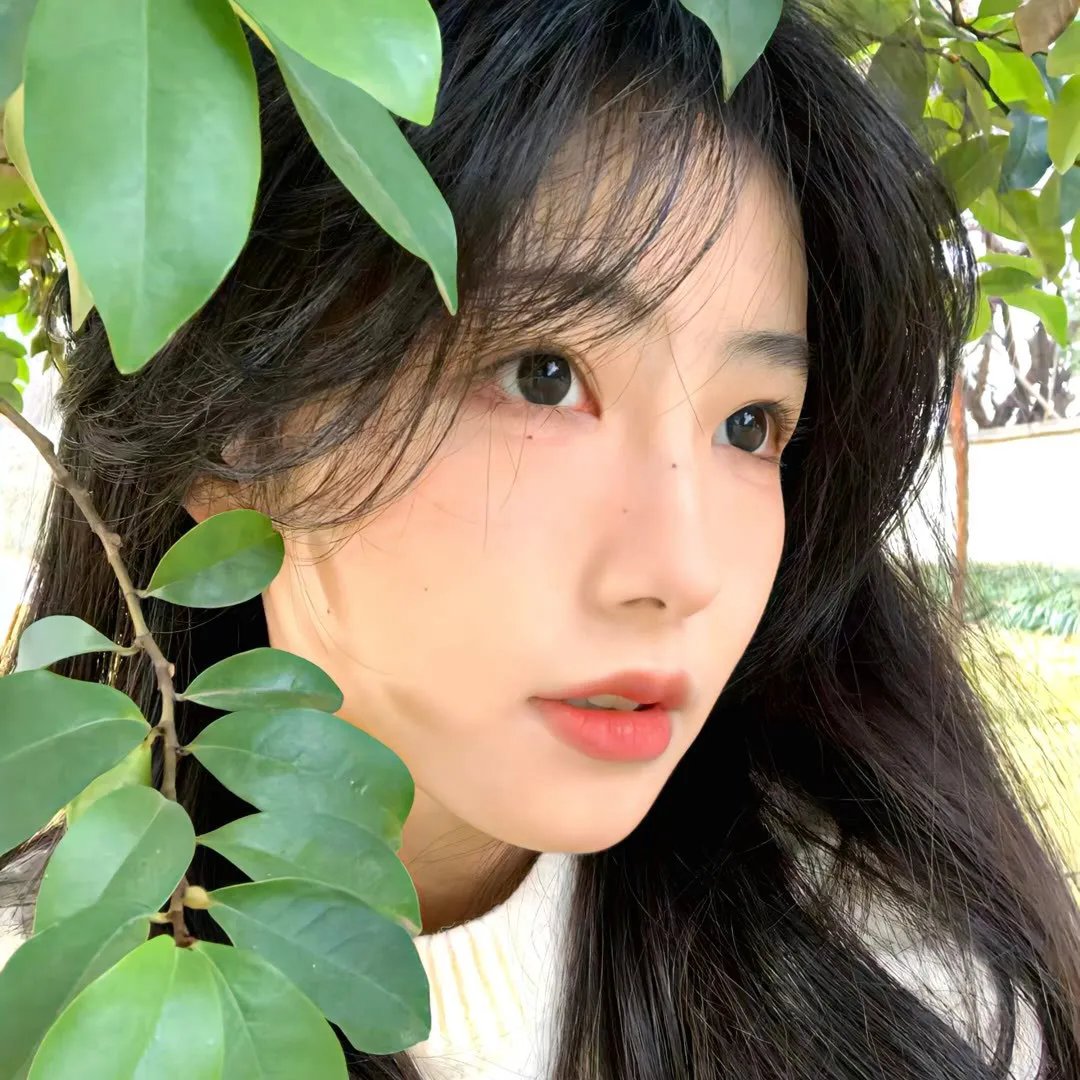 柳堡的女人们